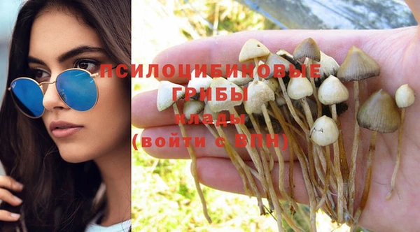 дурь Богданович