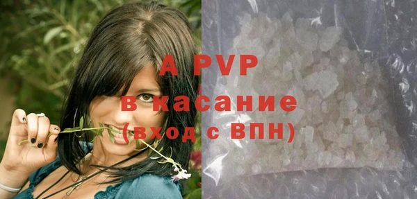 дурь Богданович