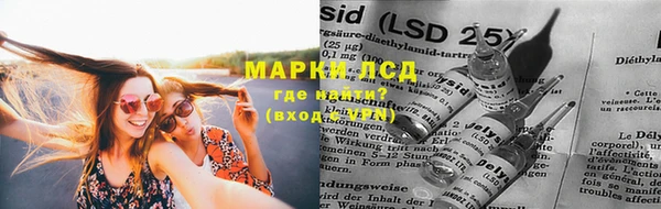 дурь Богданович