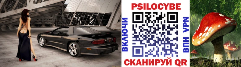 Купить где  Богородск  Псилоцибиновые грибы Psilocybe 